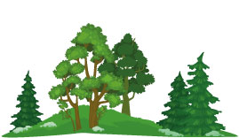 wald